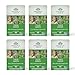 Organic India Tulsi Green Tea Classic, 18-Count Teabags (Pack of 6)