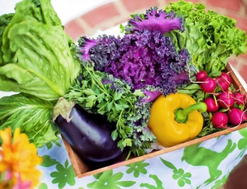 Should Organic Vegetable Gardening Be a Part Of Your Life?