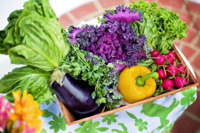 Should Organic Vegetable Gardening Be a Part Of Your Life? 5
